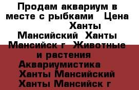 Продам аквариум в месте с рыбками › Цена ­ 2 500 - Ханты-Мансийский, Ханты-Мансийск г. Животные и растения » Аквариумистика   . Ханты-Мансийский,Ханты-Мансийск г.